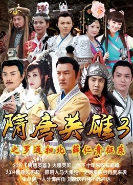 隋唐英雄3DVD版