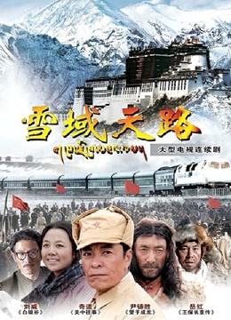 雪域天路DVD版