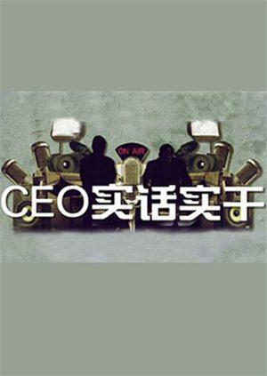 CEO实话实干2011