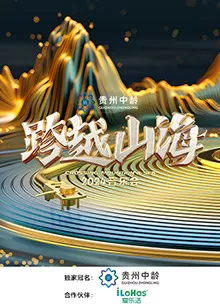 跨越山海2024音乐会